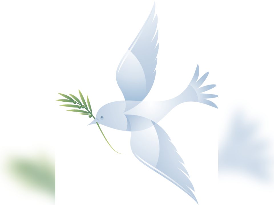 Obituaries uvalde leader news