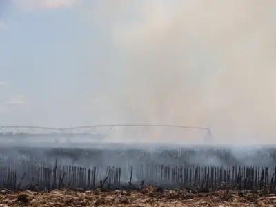 Uvalde farmers set corn stalks ablaze in August