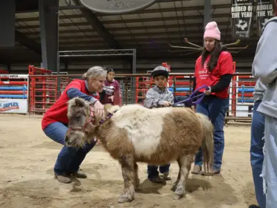 Equine nonprofit promotes mentorship, connection