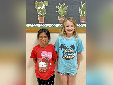 Utopia Little League opening ceremonies set March 28