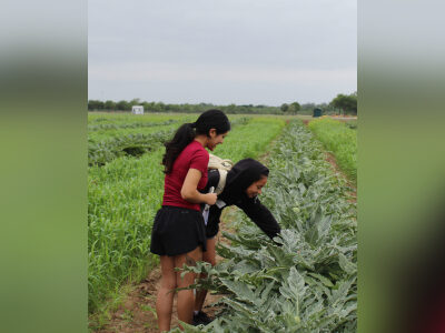 AgriLife’s annual Field Day is a researcher’s favorite