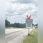 Screwworm infestations double