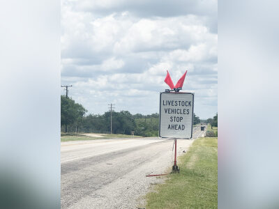 Screwworm infestations double